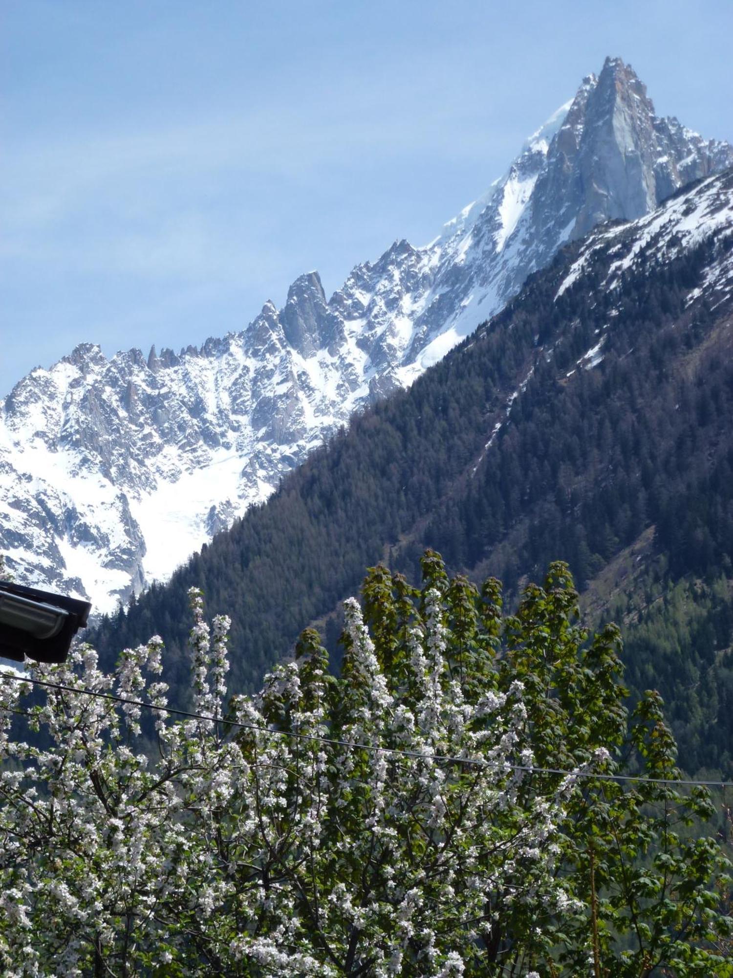 Hotel Du Clocher Chamonix Mont Blanc Exterior foto